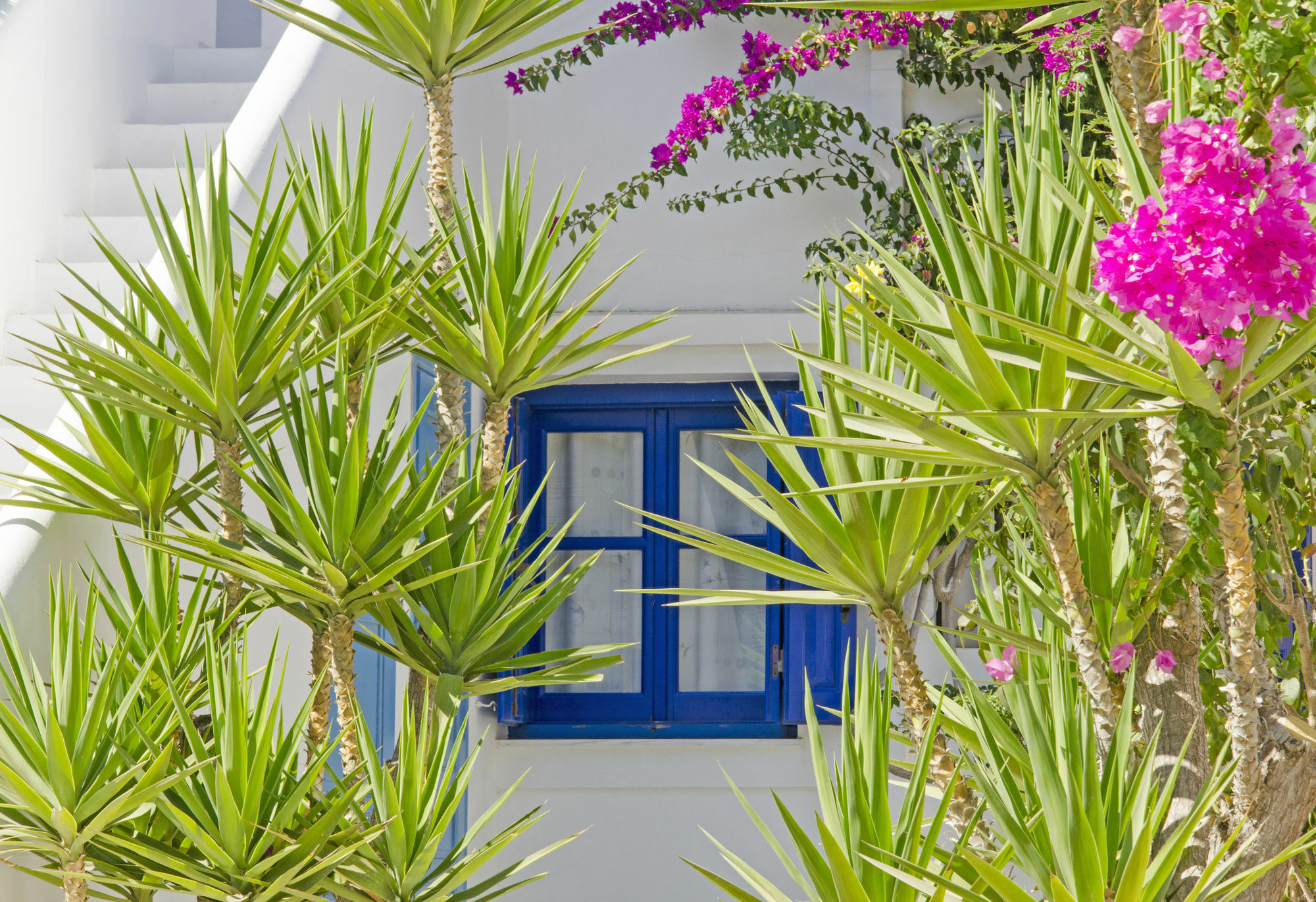 Mouras Studios Λιβάδι Αστυπάλαιας Εξωτερικό φωτογραφία